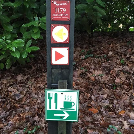 Geraeumiges Mitten Im Wald Ferienhaus Winterswijk