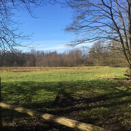 Geraeumiges Mitten Im Wald Ferienhaus Winterswijk