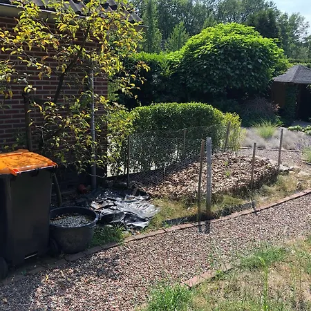 Ferienhaus Geraeumiges Mitten Im Wald Winterswijk