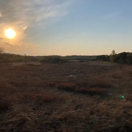 Σπίτι διακοπών Geraeumiges Mitten Im Wald *