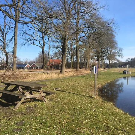 Geraeumiges Mitten Im Wald * Winterswijk