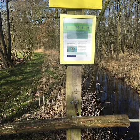 Geraeumiges Mitten Im Wald * Winterswijk