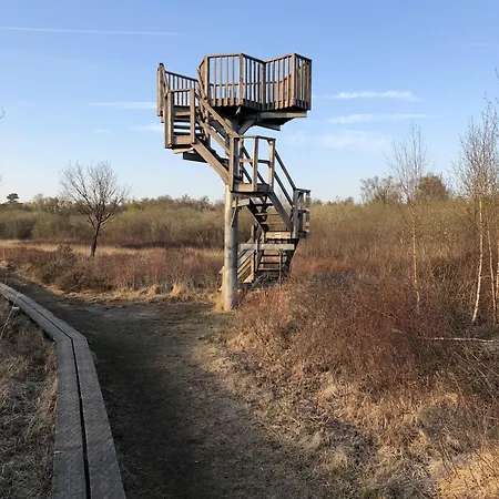Geraeumiges Mitten Im Wald Vakantiehuis